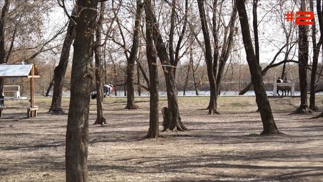 гироскутер Wind Rover смотреть онлайн