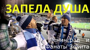 Запела душа #Ленинград #ФанатыЗенита #ЗенитЛион
