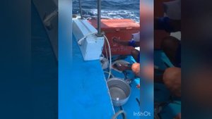 13-06-2023? Ловля ТУНЦА.