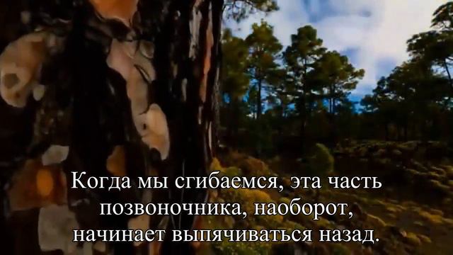 Приехали на дачу Берегите спину! — Статья смотреть онлайн