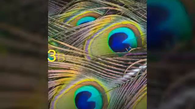 Как легко запомнить расположение планет? смотреть онлайн