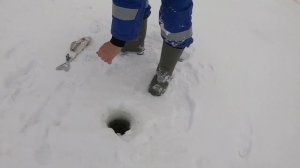 БЕЛОЕ ОЗЕРО. ЛОВЛЯ СУДАКА НА ЖЕРЛИЦЫ. ЧЕСТНОЕ ИСПЫТАНИЕ Дрель Шуруповерт Heimerdinger 18V 6A/h