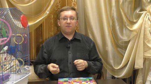 #039. Кто такой видеоблогер? Зачем он нужен для бизнеса?