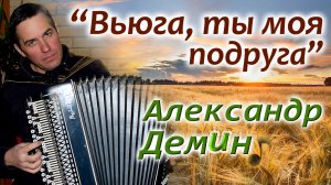 "ВЬЮГА, ТЫ МОЯ  ПОДРУГА..." - исп. Александр ДЕМИН