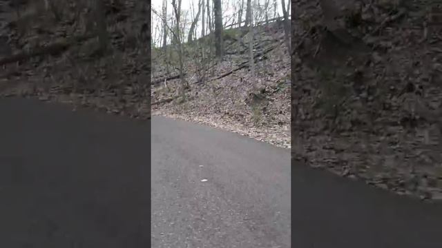 DMO & Brandon Adventures: BEAR GRYLLS FOREST S#*T! смотреть онлайн