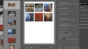 Photoshop Elements: Improved Print Workflow with the Organizer