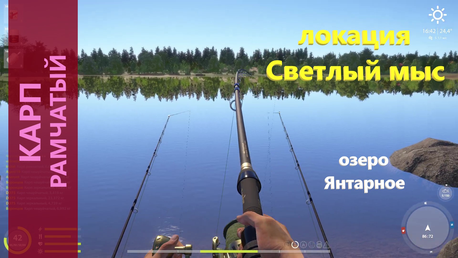 голый карп русская рыбалка фото 23