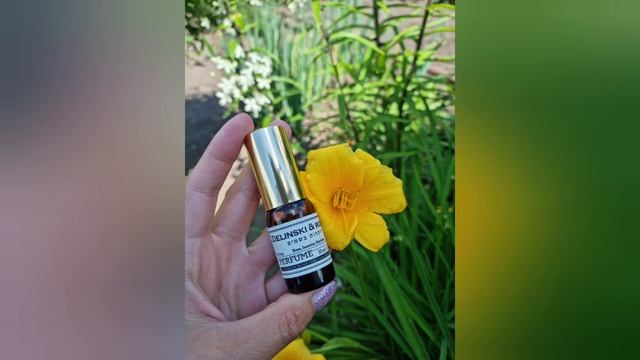 ПАРФЮМЕРНАЯ вода ZELINSKI&ROZEN Orange, Jasmine, Vanilla и Rose, Jasmine, Narcissus. смотреть онлайн