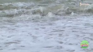 Как правильно закаляться