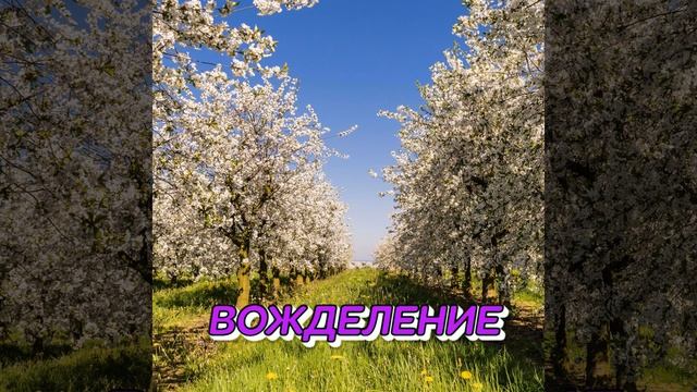 ВОЖДЕЛЕНИЕ