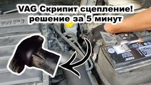 Скрипит сцепление, скрип при нажатии сцепления (рапид, поло, октавия, джетта, ети...)