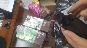 Древовидные пионы из садовых центров. Цены и качество.