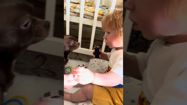 Игра с реборном Мироном :) смотреть онлайн