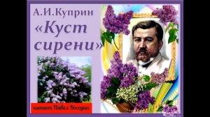 Куст сирени  — Александр Куприн  — читает Павел Беседин