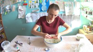 Семена Орхидей после посадки. Результат что получилось.