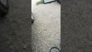 Бмв х5 е53, дребежит машина, нашёл причину