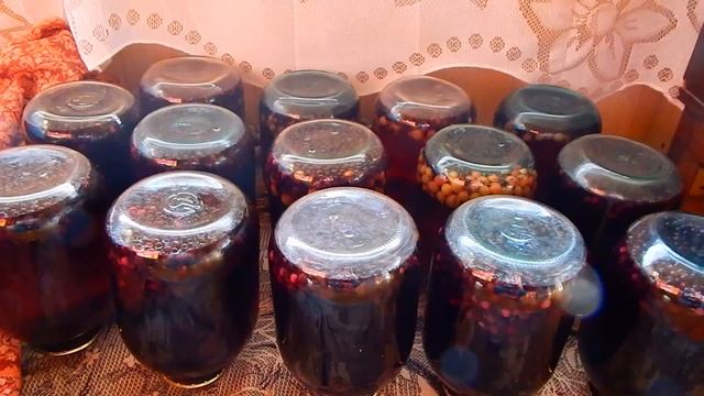 Компот из ирги и крыжовника.