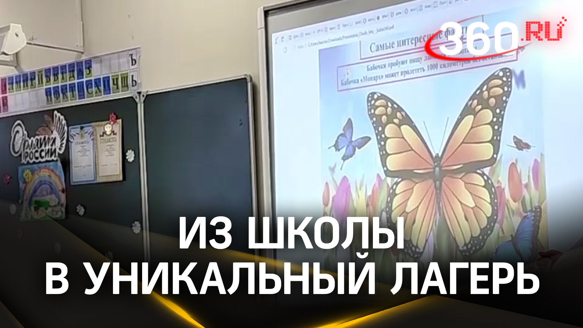 Школа превращается в...уникальный детский лагерь: каникулы в Электростали для школьников Подмосковья