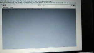 Sleeping Cat micro OS. 2023. Qemu. Nasm