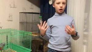 уход за белками дегу