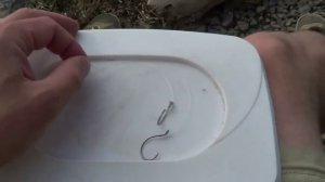 Кукуруза для ловли карпа