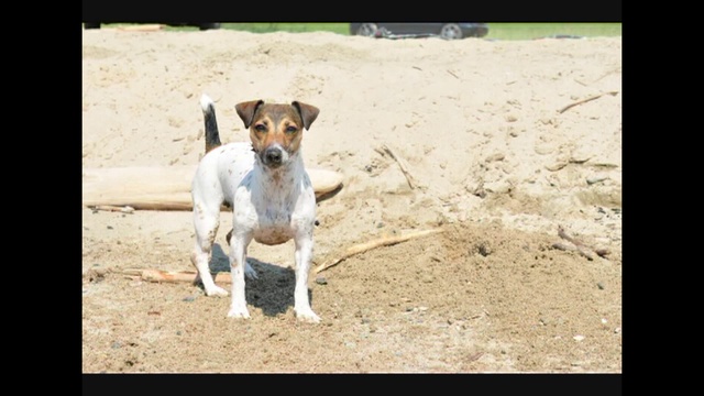 Парочка смотреть онлайн