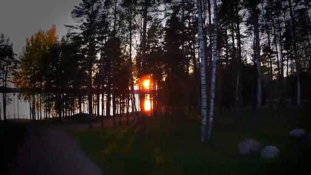 ЭКО СМЕНА 2015 смотреть онлайн