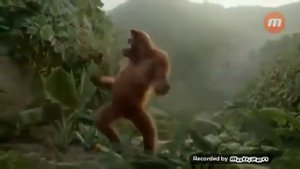 Как дела нормально обезьяна