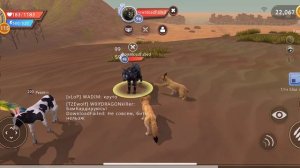 WildCraft    БЕССМЕРТИЕ в WildCraft