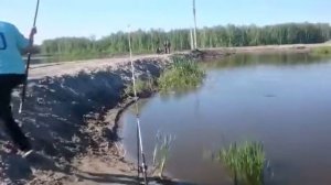 Рыбалка Новосибирск (радужная форель)