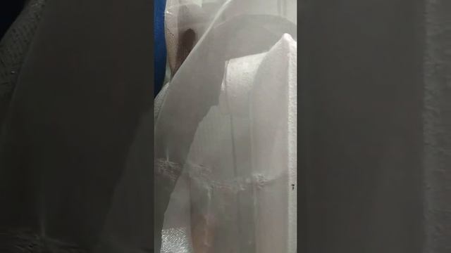 Птица залетела в комнату в шесть утра. смотреть онлайн