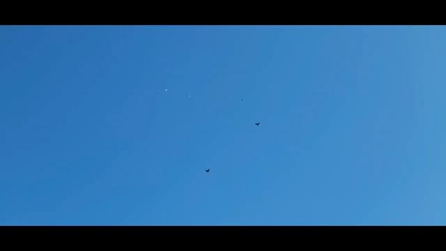 Небо для голубей без потолка смотреть онлайн