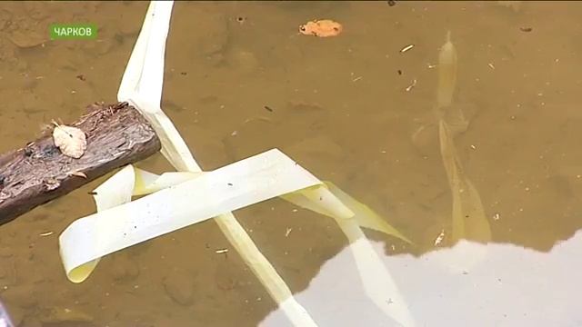 Заложниками в собственных домах оказались жители аала Чарков в Хакасии смотреть онлайн