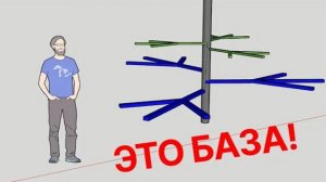 БАЗА: Как сформировать яблоню, грушу. Разреженно-ярусная крона