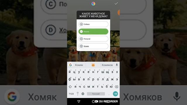 Как создать викторину, опрос, тест в Инстаграм Сторис. Новая функция