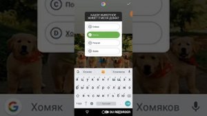 Как создать викторину, опрос, тест в Инстаграм Сторис. Новая функция