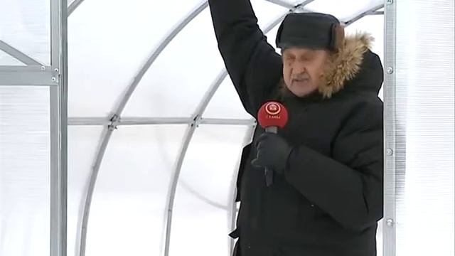 Биония теплицы зима