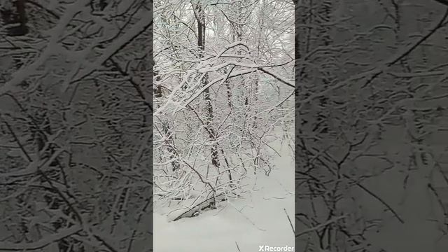 Красота природы/ Какая красота