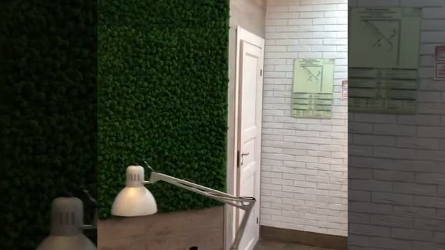 Фитостена из мха в салоне красоты 🌿