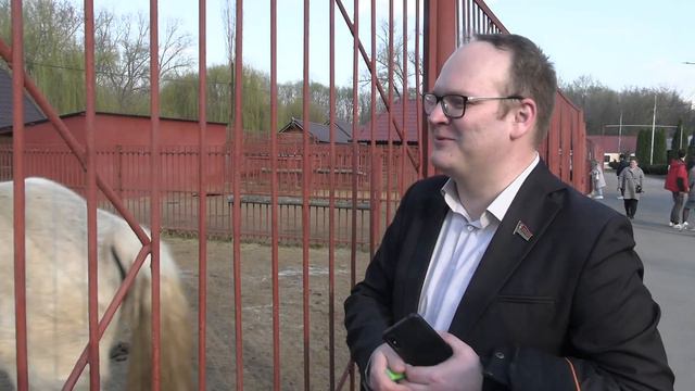 В областном зоопарке смотреть онлайн