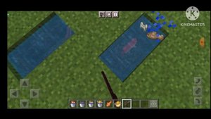 3 факта о рыбах-МАЙНКРАФТ ФАКТЫ