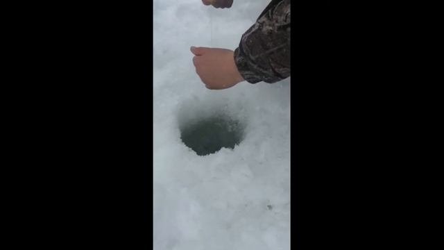 Долгобродское водохранилище. 11 января 2020 г.