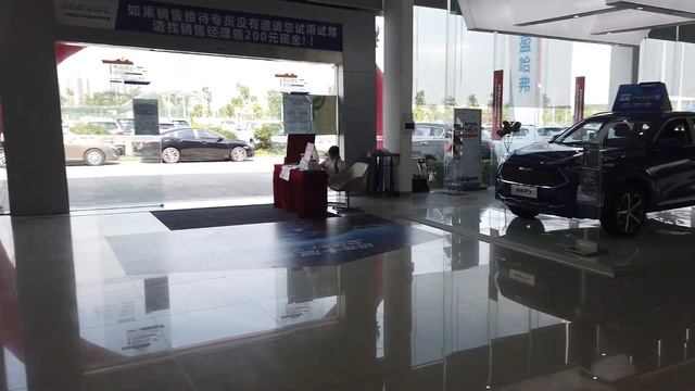 My Haval is Sick (2020 Haval Models) смотреть онлайн