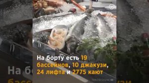 Симфония морей   Самый большой круизный лайнер!