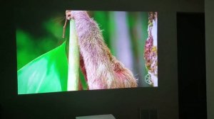 Samsung Premiere LSP7T Review - Triple Laser 4K UST Projector Picture Modes on Grandview Dynamique