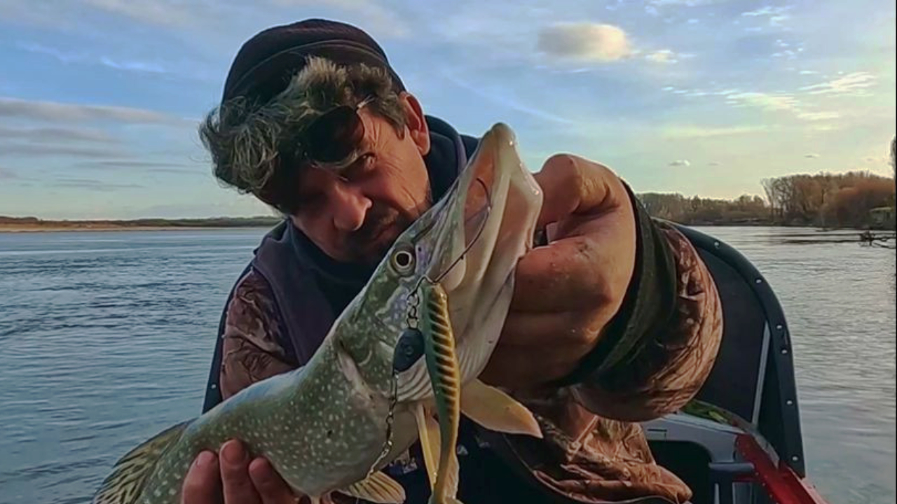 ОНИ МЕНЯ ЖДАЛИ. Рыбалка на Оби 16 октября 2023г. Комбинированная рыбалка. Щука, Судак, Лещ.