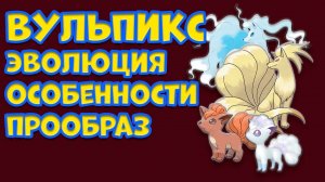 ВУЛЬПИКС. ЭВОЛЮЦИЯ, ОСОБЕННОСТИ, ПРООБРАЗ