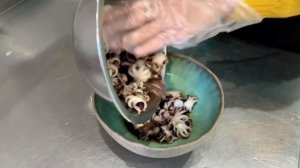 Беби-осьминоги на гриле