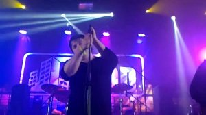 Мертвые дельфины   Рак