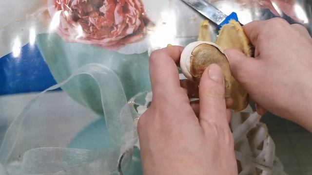 Как вырастить сад из фруктов????? смотреть онлайн